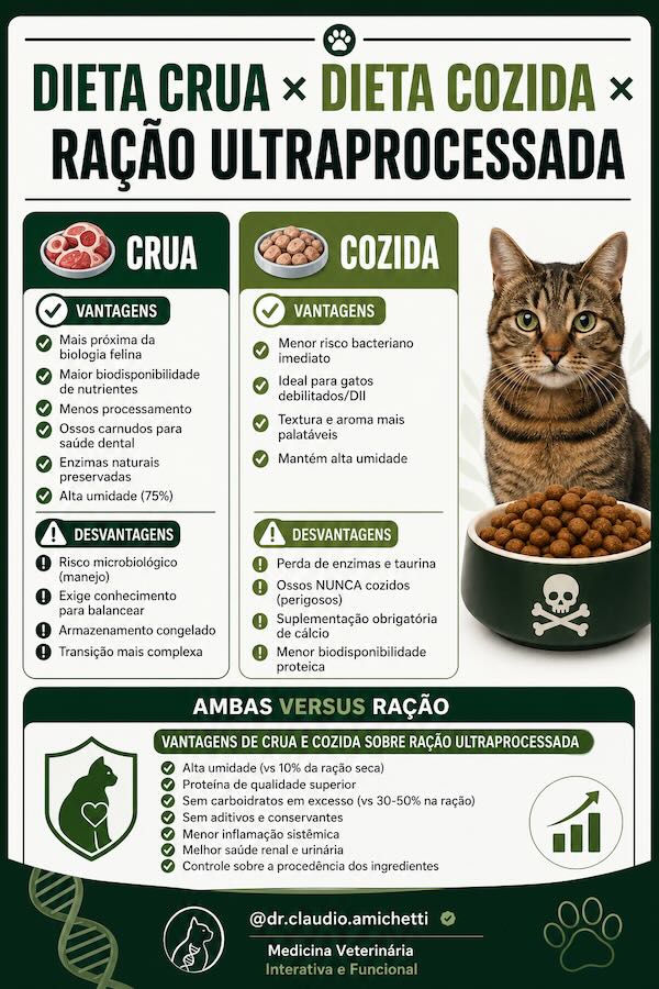 🥩 DIETA CRUA × 🔥 DIETA COZIDA × 🏭 RAÇÃO ULTRAPROCESSADA QUAL A MELHOR FORMA DE TRATAR SEU PET??