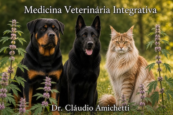 RUBIM (LEONURUS SIBIRICUS L.): PROPRIEDADES FARMACOLÓGICAS, POTENCIAL TERAPÊUTICO EM MEDICINA VETERINÁRIA E PERSPECTIVAS AGRONÔMICAS; Na Medicina Veterinária, a planta surge como uma alternativa promissora para o manejo de cardiopatias e estresse em peque