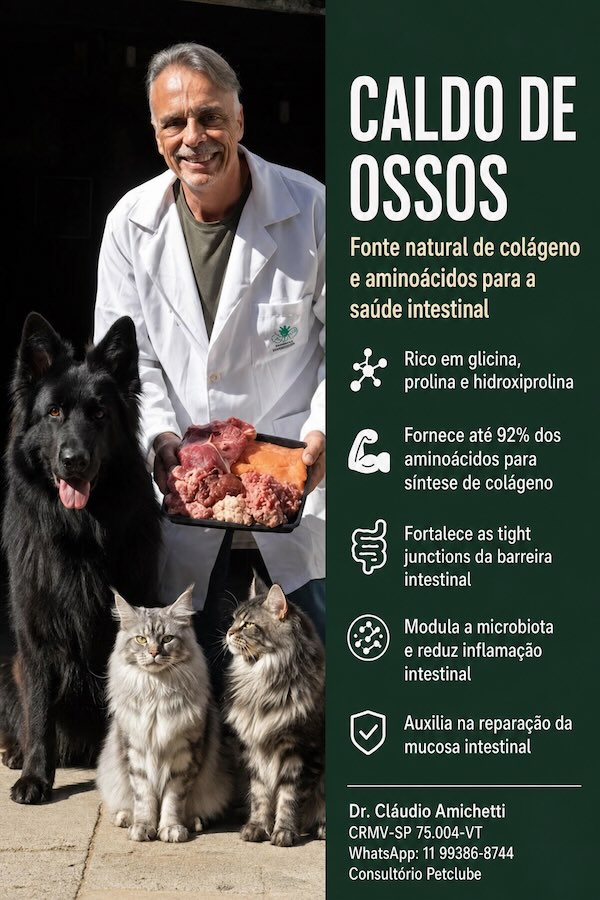 CALDO DE OSSOS, COLÁGENO E SAÚDE INTESTINAL: UMA REVISÃO DA LITERATURA COM FOCO EM MEDICINA VETERINÁRIA