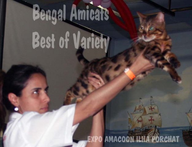 BENGAL