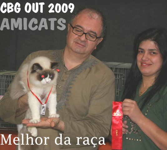 melhor da raça