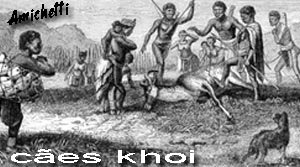 Cães Nativos Khoi