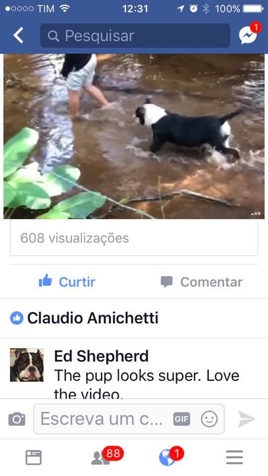 EDSHEPERAD ELOGIANDO  PETCLUBE